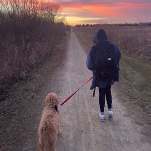 Meet your Posher, Maddy